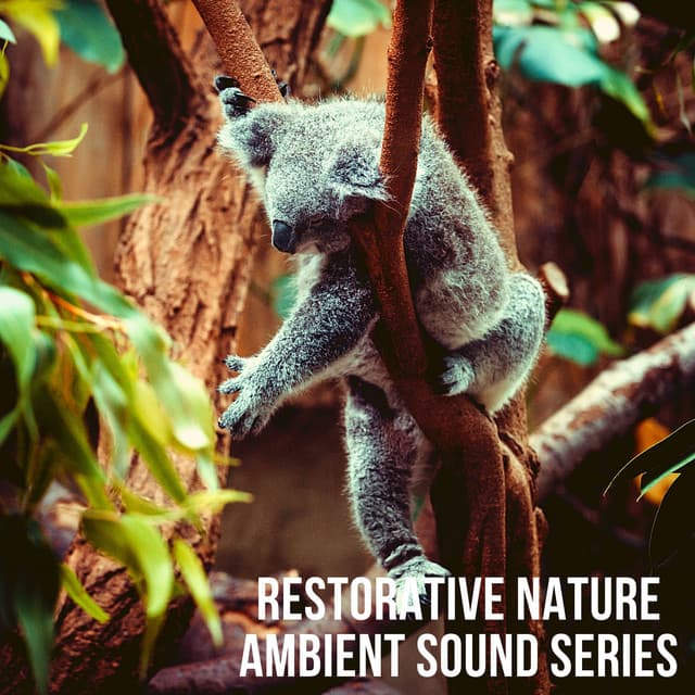 Restorative Nature Ambient Sound Series: Yoga Meditation Tracks 2021 - Zen Meditation Music Academy