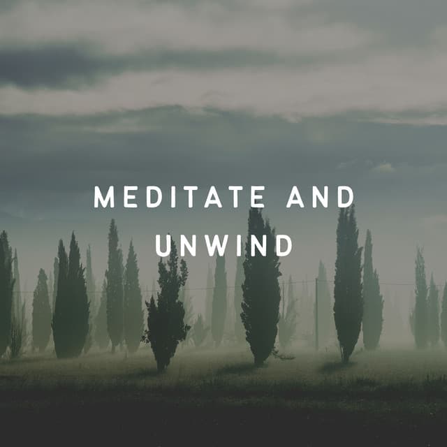 Meditate and Unwind - The White Noise Travelers
