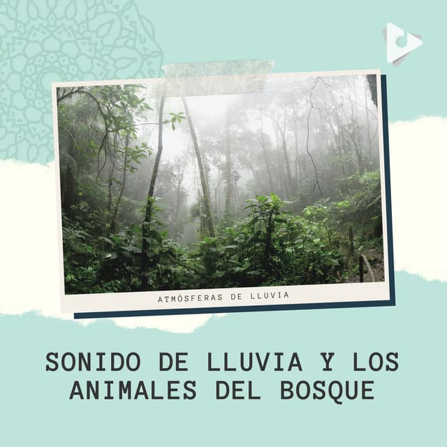 Sonido de Lluvia y los Animales del Bosque - Atmósferas de Lluvia