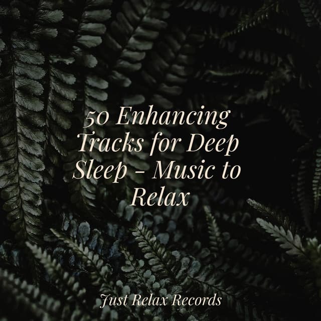 50 Enhancing Tracks for Deep Sleep - Music to Relax - Reiki Music