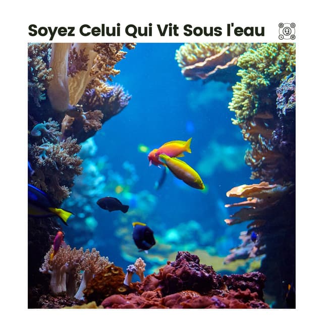 Soyez Celui Qui Vit Sous L'eau - Vagues De L'Ocean