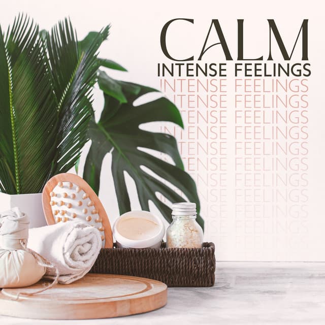 Calm Intense Feelings: Soothing Spa Music for Physical and Emotional Relaxation After a Long Day - Mindfulness Meditation Tranquility Spa Universe