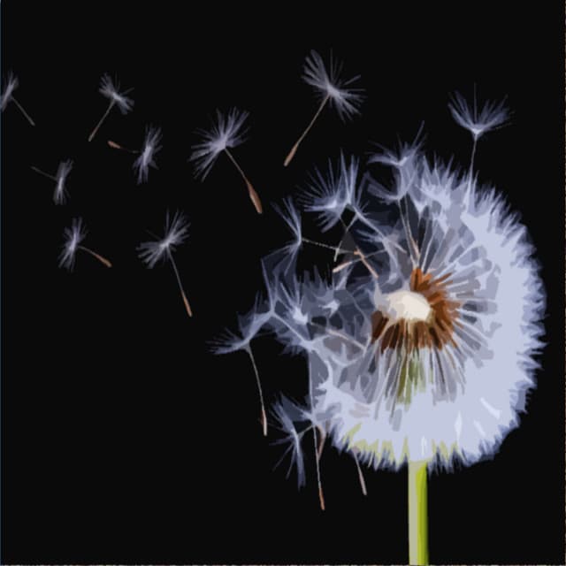 Soothing Winds - Mother Nature Sound FX