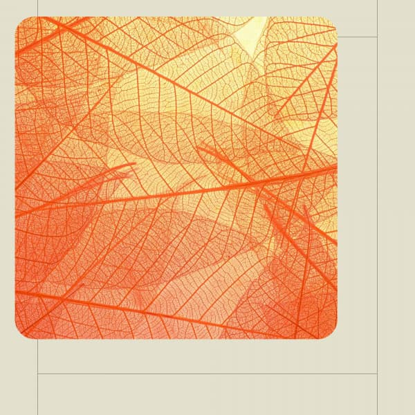 Calming Moments - Music - Mellow Sunday Morning Music