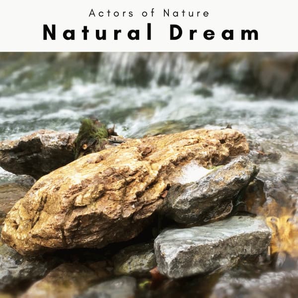 1 Natural Dream - Actors of Nature