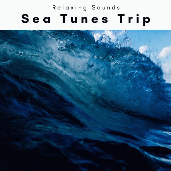 2 0 2 2 Sea Tunes Trip - Sea of Noise