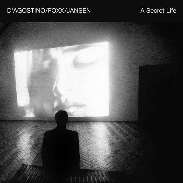 A Secret Life - John Foxx
