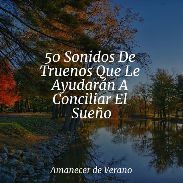 50 Sonidos De Truenos Que Le Ayudarán A Conciliar El Sueño - El hada de las canciones de cuna