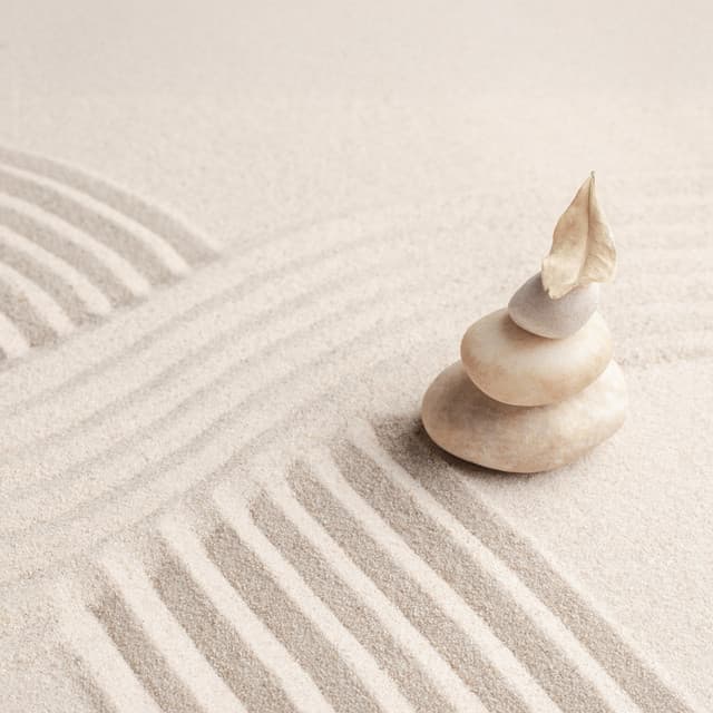 Zen Alignment - Jane Peace