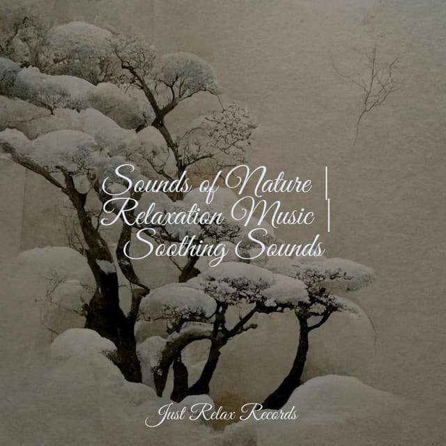 Sounds of Nature | Relaxation Music | Soothing Sounds - Lullabies for Deep Meditation