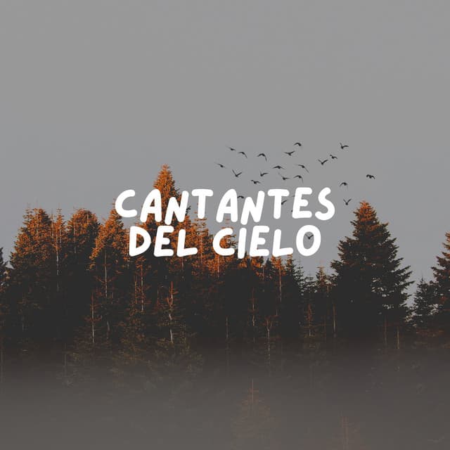 Cantantes Del Cielo - Pájaros del Bosque