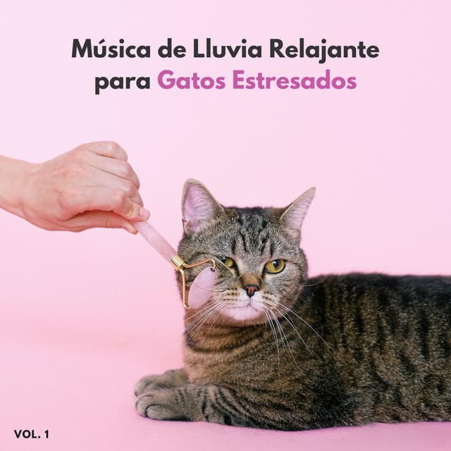Música De Lluvia Relajante Para Gatos Estresados Vol. 1 - Sonido de lluvia
