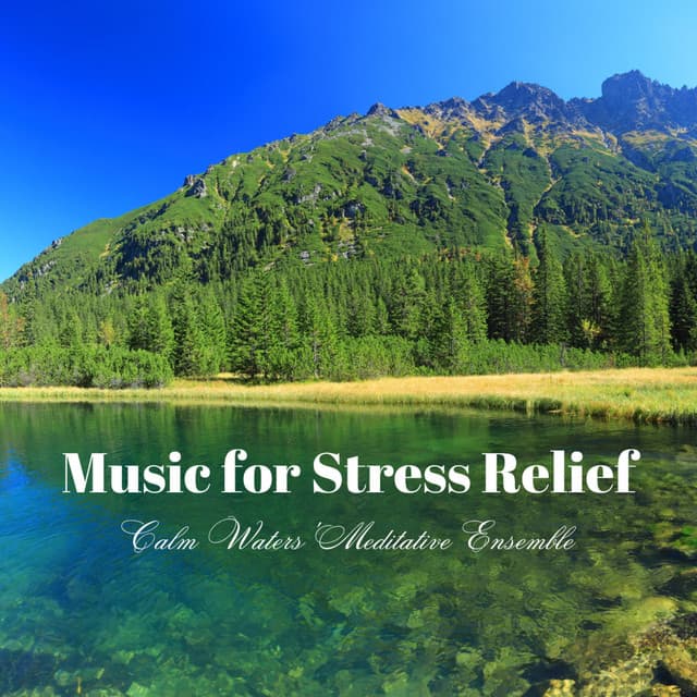 Music for Stress Relief: Calm Waters' Meditative Ensemble - Emerald High